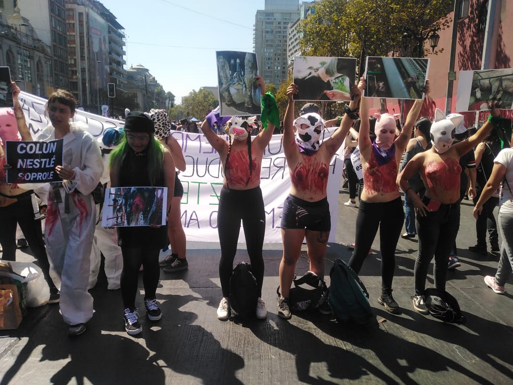 Galería HD 25 imágenes de la multitudinaria marcha del 8M en Santiago