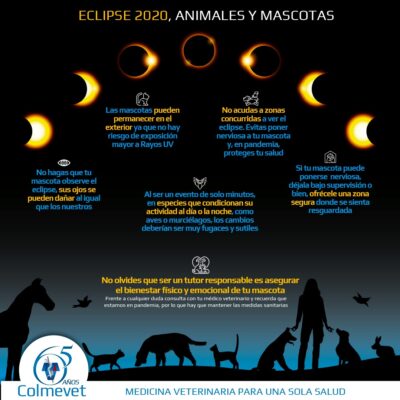 Cómo afecta el eclipse solar a los animales Colegio Médico