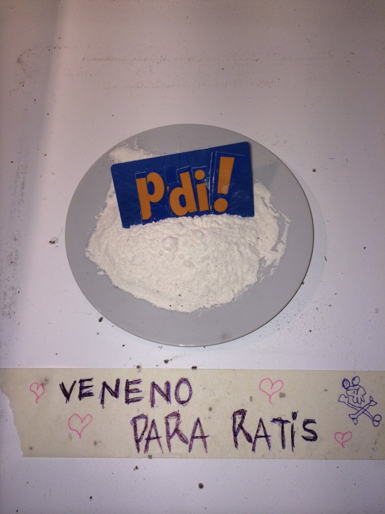 Fotos Así luce la polémica exposición