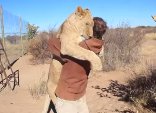 abrazo leon humano | The Clinic