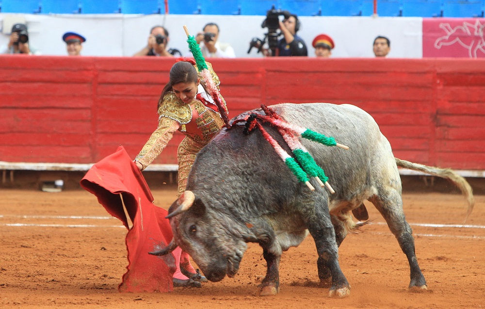 Galería: Torera que iba a matar su primer toro se va de cornada en México