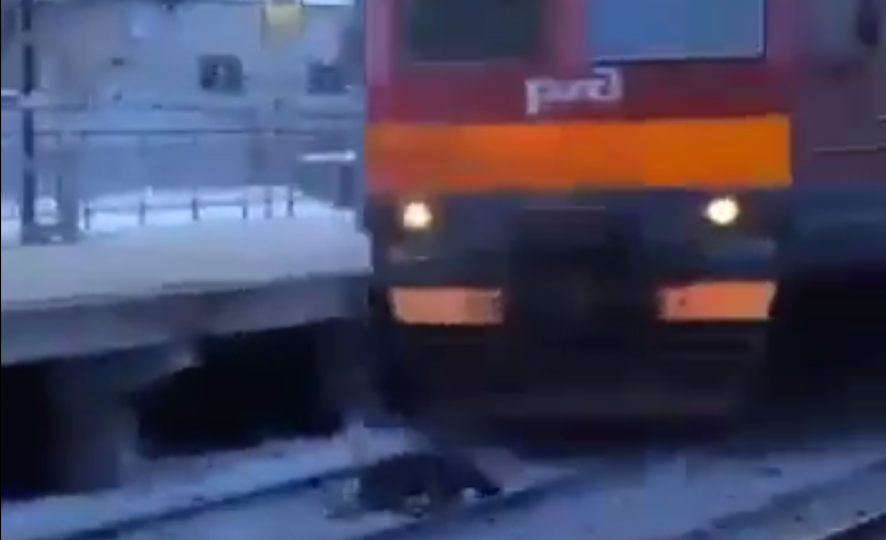 tren pasa sobre hombre en rusia
