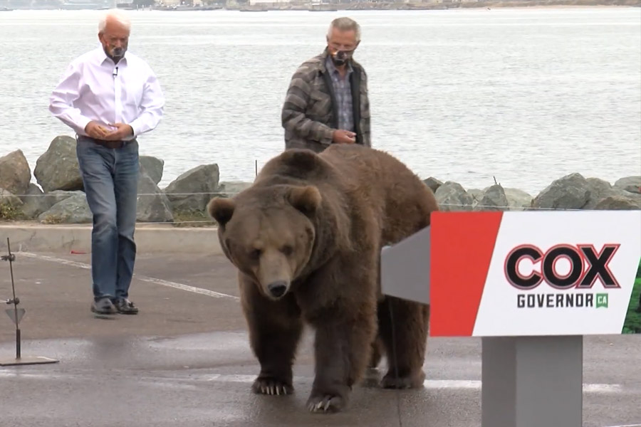 Denuncian a candidato a gobernador por el uso de oso