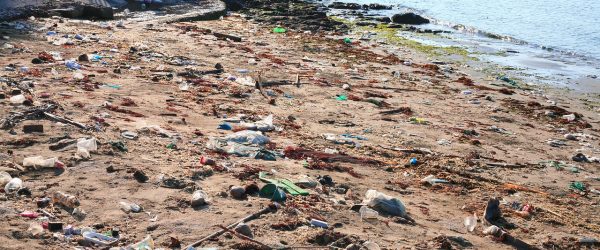 contaminación en los oceanos, playa con plásticos