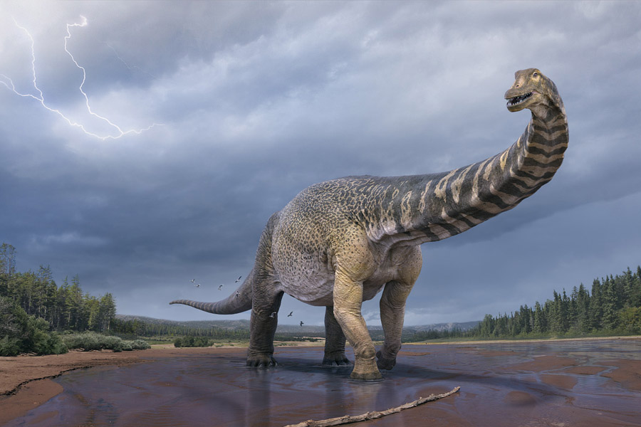 El Australotitan, el dinosaurio más grande en todo Australia