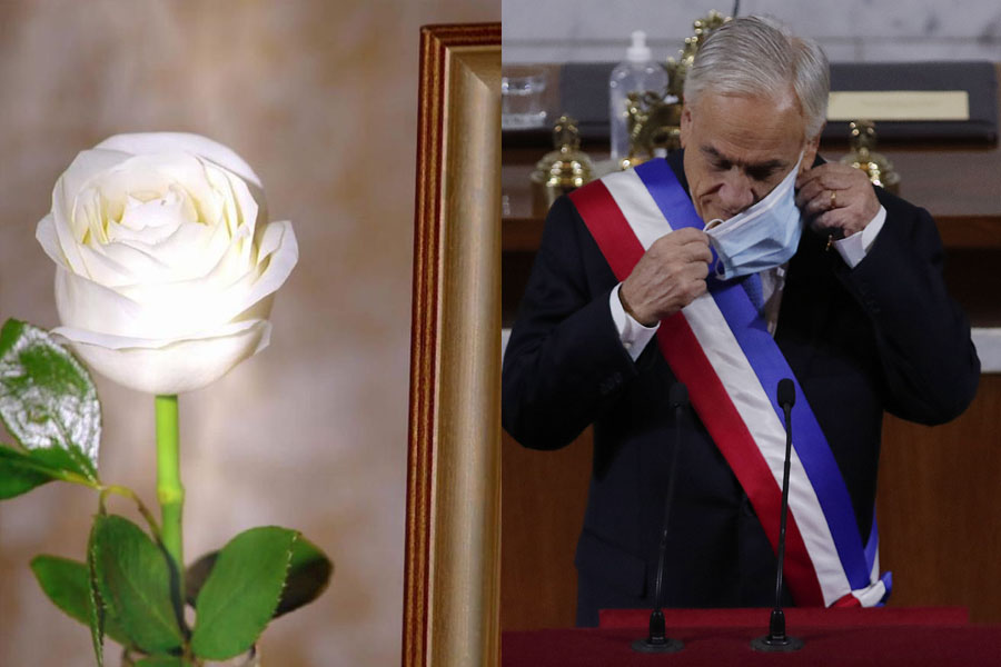 Rosa de Guadalupe Piñera