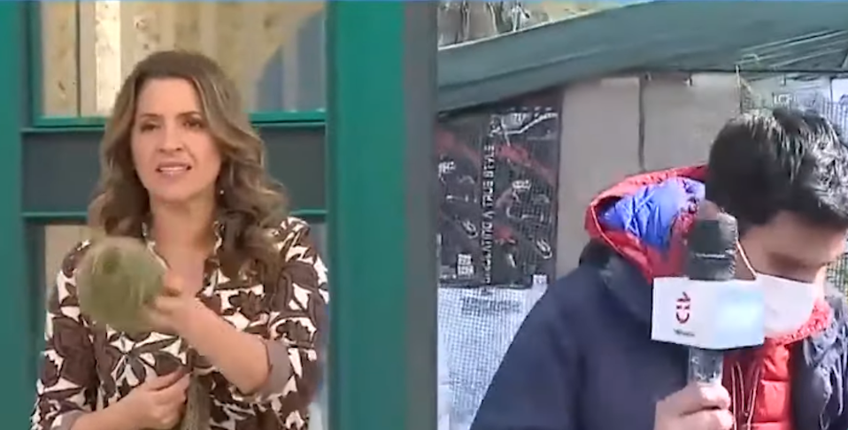 Monserrat Álvarez le paró los carros en vivo a televidente que la criticó por tejer en pantalla
