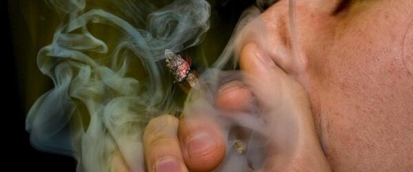 Consumo de cannabis duplicaría riesgo de infarto en adultos