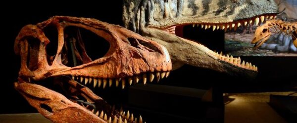 Nuevo dinosaurio carnívoro era temido por los tiranosaurios