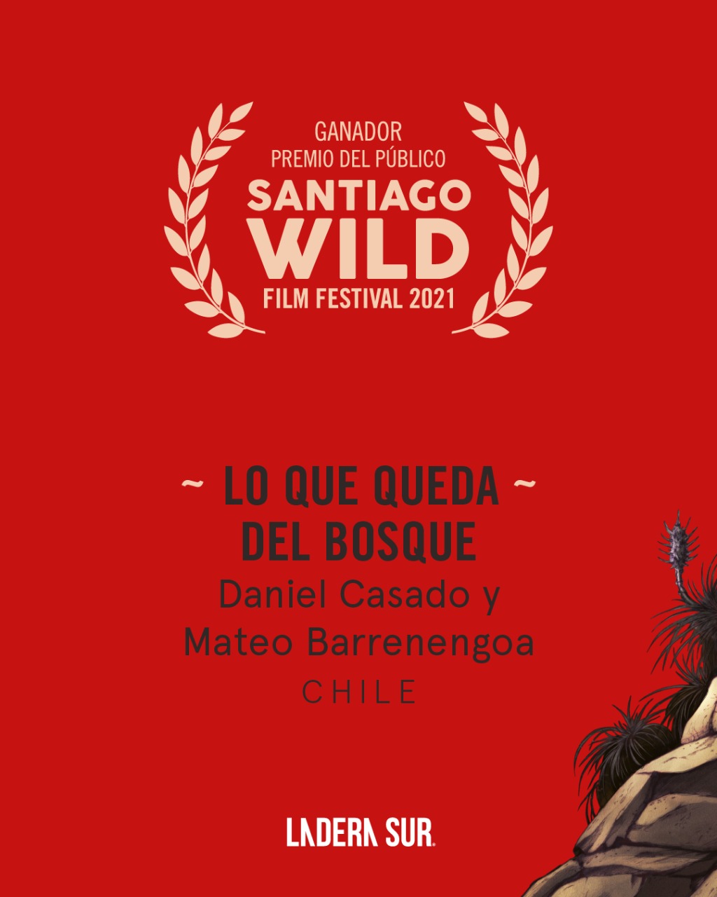 Documentales latinoamericanos Estos son los ganadores de Santiago Wild