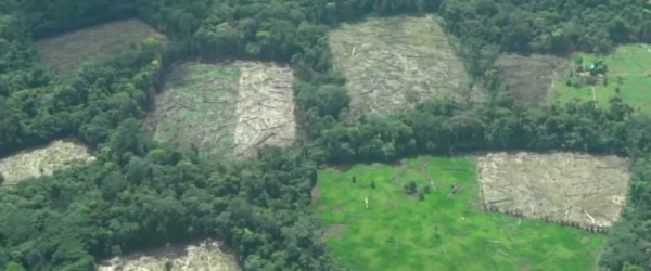 deforestación en la Amazonía