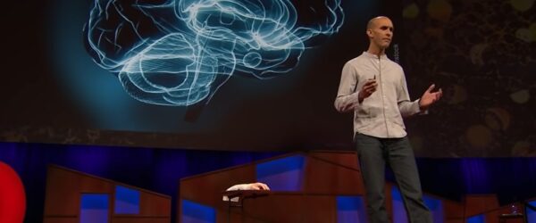 "La realidad de lo que percibimos son alucinaciones nuestras", afirma neurocientífico