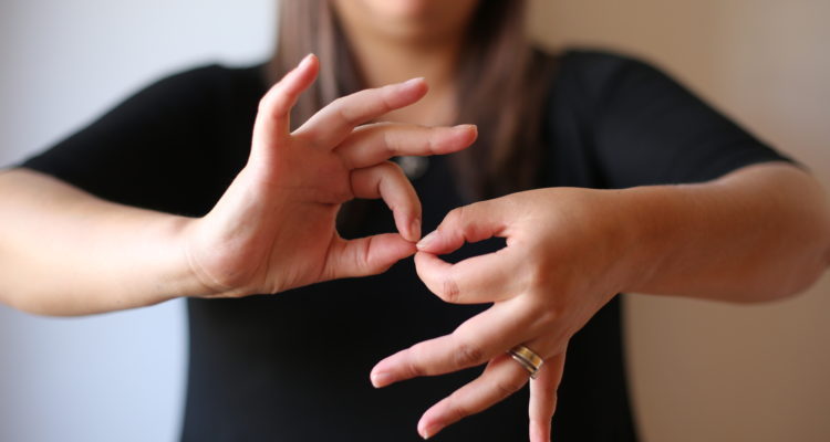 La imagen muestra a un intérprete de lenguaje de señas