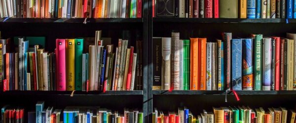 Los 10 mejores libros de 2021, según NYT: novela de un chileno se cuela en el ranking