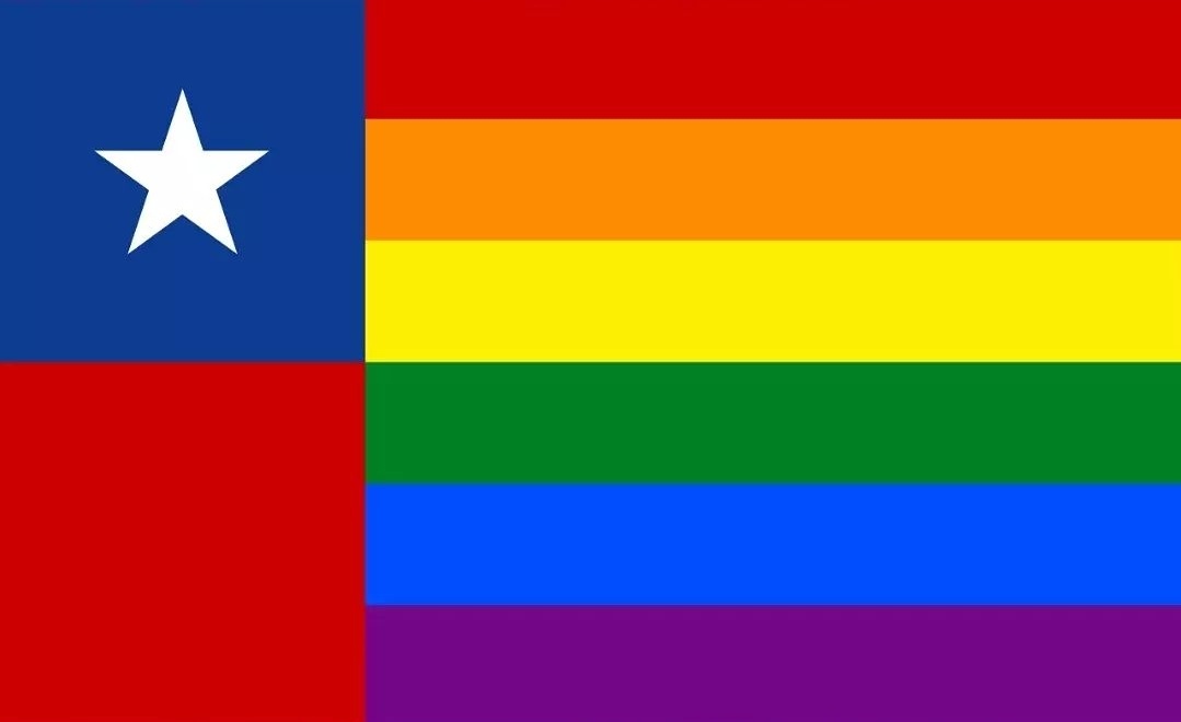 VIRAL. Las 11 primeras medidas de la dictadura gay