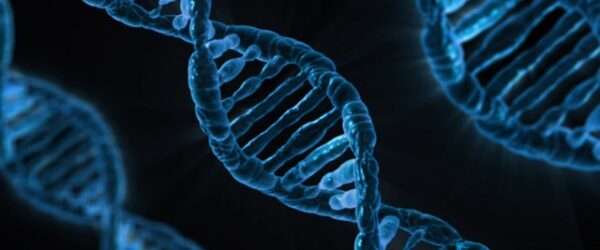 Científicos alemanes encuentran gen clave en desarrollo de cáncer linfático