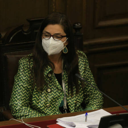 Amaya Álvez, convencional constituyente de Revolución Democrática