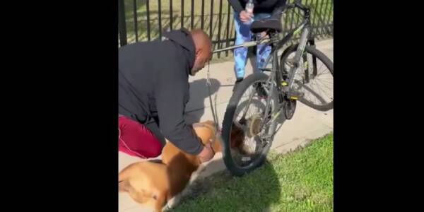 VIDEO. ¡Héroe! Hombre uso maniobra especial de RCP salvó a un perro de la muerte