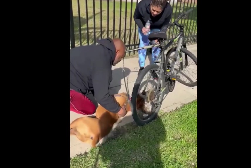 VIDEO. ¡Héroe! Hombre uso maniobra especial de RCP salvó a un perro de la muerte