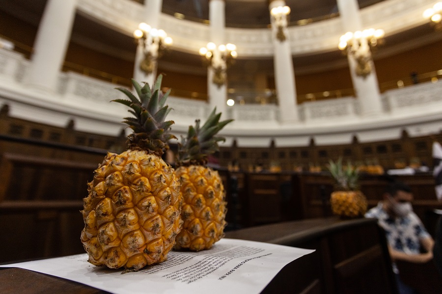 Por qué se regalaron piñas en el inicio de una nueva sesión de la Convención