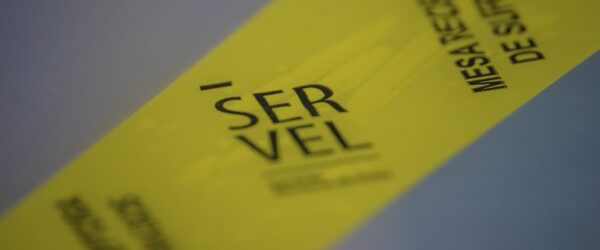 Servel rechazó informes financieros de 12 partidos políticos