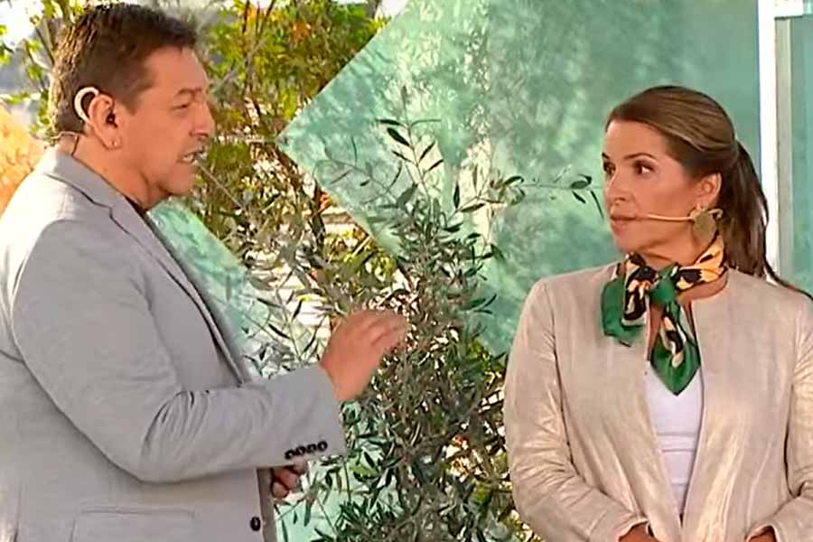 "No me grites": El freno que le puso Monserrat Álvarez a JC Rodríguez