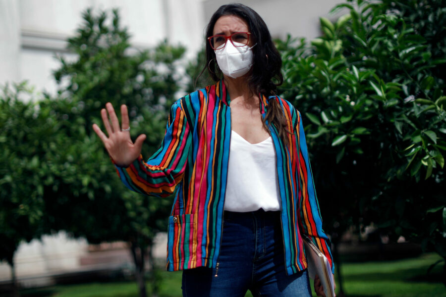 Vocera de Gobierno, Camila Vallejo