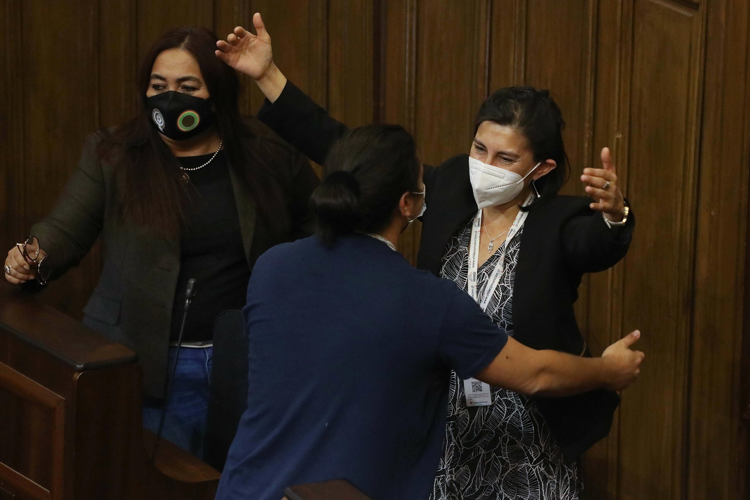 Estado plurinacional, intercultural y ecológico: el juicio de los expertos sobre las definiciones del primer artículo aprobado por la Convención
