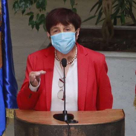 Carmen Hertz. Aarece tras un podio en la Cámara de Diputados, con su mano izquierda abajo y su mano derecha a media altura y haciendo una pinza con sus dedos índices y pulgar.
