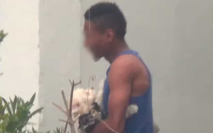 Detenido por disparos en barrio Meiggs quebró su arresto domiciliario