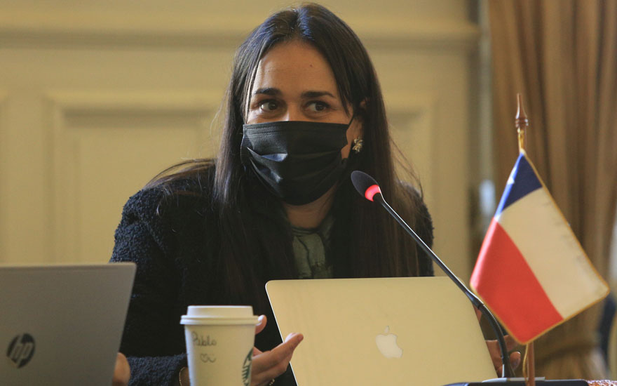 Carol Bown explicó error de su voto contra prohibir precarización laboral