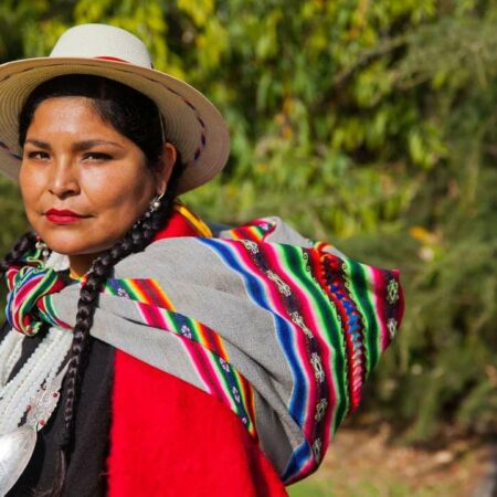 Convencional Aimara Isabella Mamani: "Habrá una legislación que establecerá el mecanismo apropiado para cada pueblo, ya sea para restituir o reivindicar tierras"