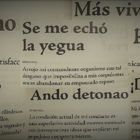 La imagen muestra a varias expresiones chilenas juntas