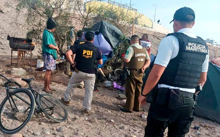 PDI detuvo a cuatro extranjeros que cocinaron lobo marino en Arica