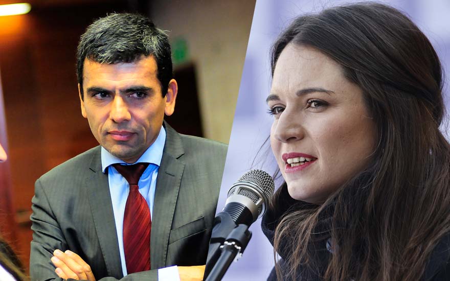Carlos Gajardo descargó comentada crítica sobre Irina Karamanos