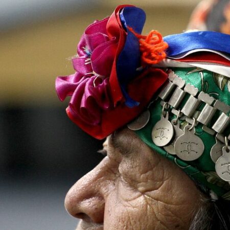 Una mujer mayor mapuche en primer plano, mirando hacia la izquierda, con su trarilonco y una flor decorativa de tela. Foto temática para nota de veto indígena.