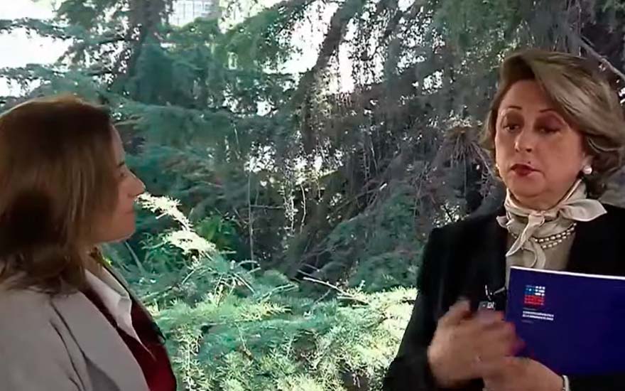 Carmen Gloria Valladares aclaró su voto y rumor sobre la Convención
