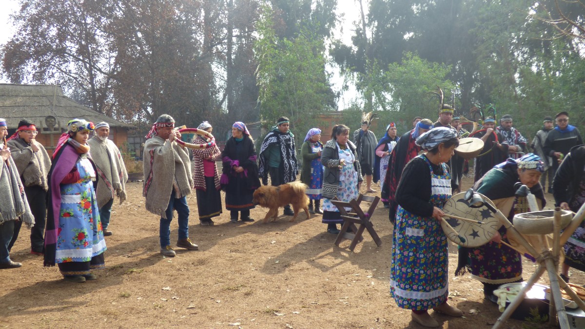 Parque El Trapiche: El conflicto judicial que tiene en vilo a la agrupación mapuche de Peñaflor