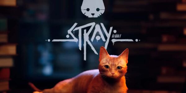 La verdadera historia detrás del gato que llevó al éxito de "Stray"