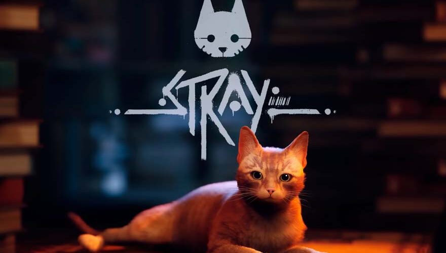 La verdadera historia detrás del gato que llevó al éxito de "Stray"