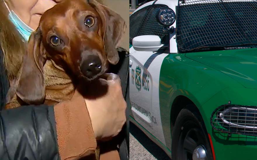 Hombre que rescató a su perro tras encerrona sufrió puñaladas en Lampa