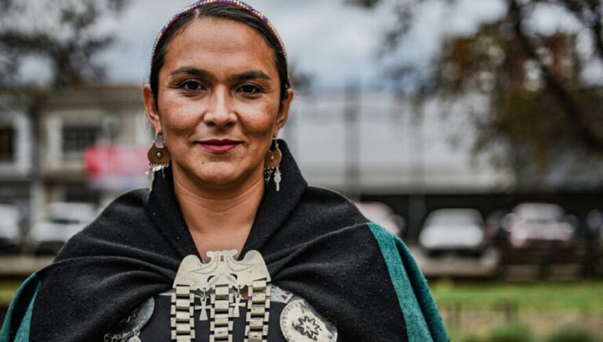 Catrileo es crítica de la detención de dirigentes mapuches, como el vocero de la CAM, Héctor Llaitul.