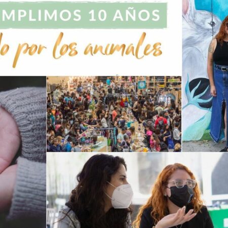 La imagen muestra un collage con imágenes de Te Protejo, su fundadora, Camila Cortínez, y su directora de Comunicaciones, Nicole Valdebenito
