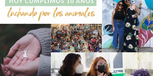 La imagen muestra un collage con imágenes de Te Protejo, su fundadora, Camila Cortínez, y su directora de Comunicaciones, Nicole Valdebenito