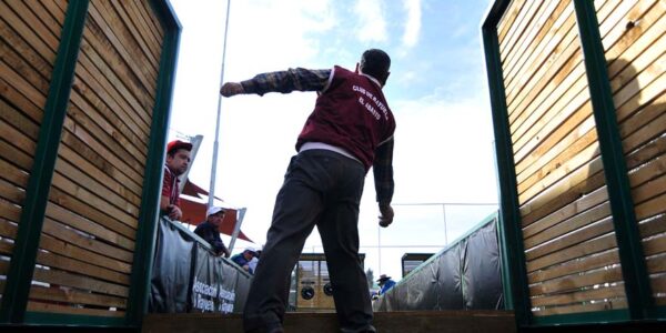 ¿Cómo se juega la rayuela, el típico deporte chileno?
