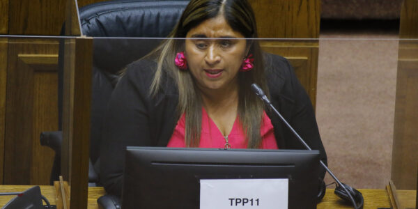 La senadora Fabiola Campillai sentada en la sala del Senado. Aparece detrás del computador, sobre el cuál hay una hoja blanca pegada que dice "TPP 11 empobrece".