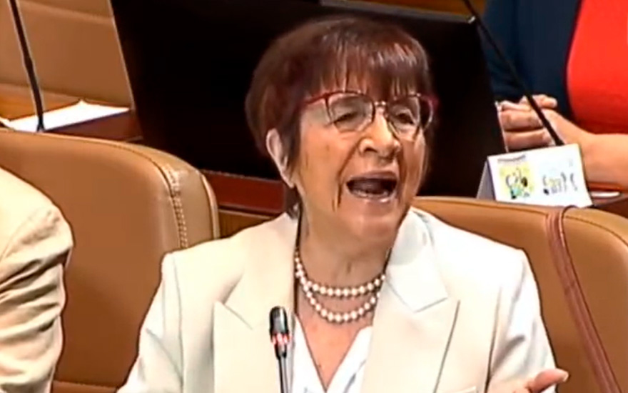 VIDEO. El tenso cruce de Carmen Hertz con diputados de la UDI