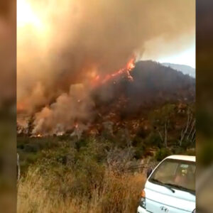 VIDEO. Las duras imágenes que dejó incendio forestal en Curacaví
