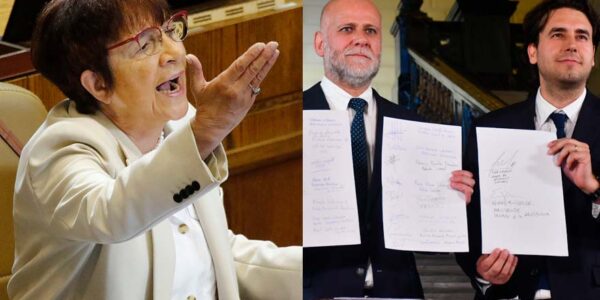 Carmen Hertz disparó contra nuevo acuerdo constituyente