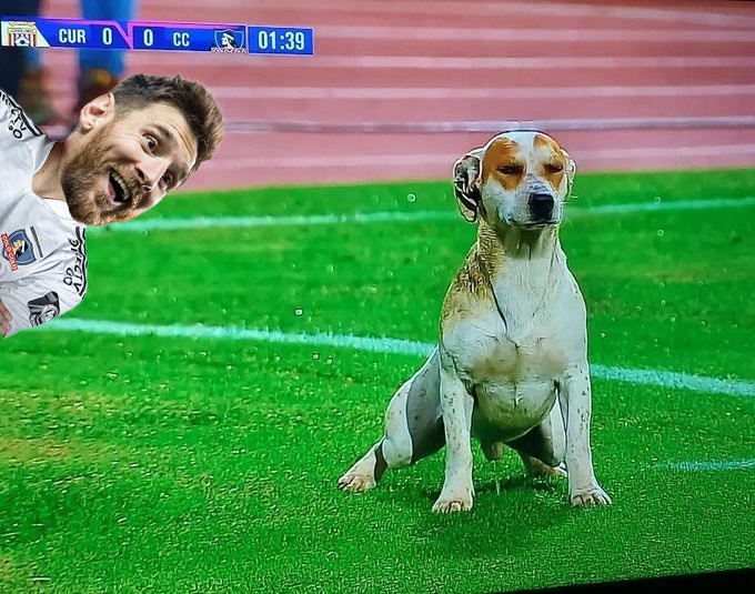 HUMOR. ¡Las primeras imágenes de Messi en Colo Colo!